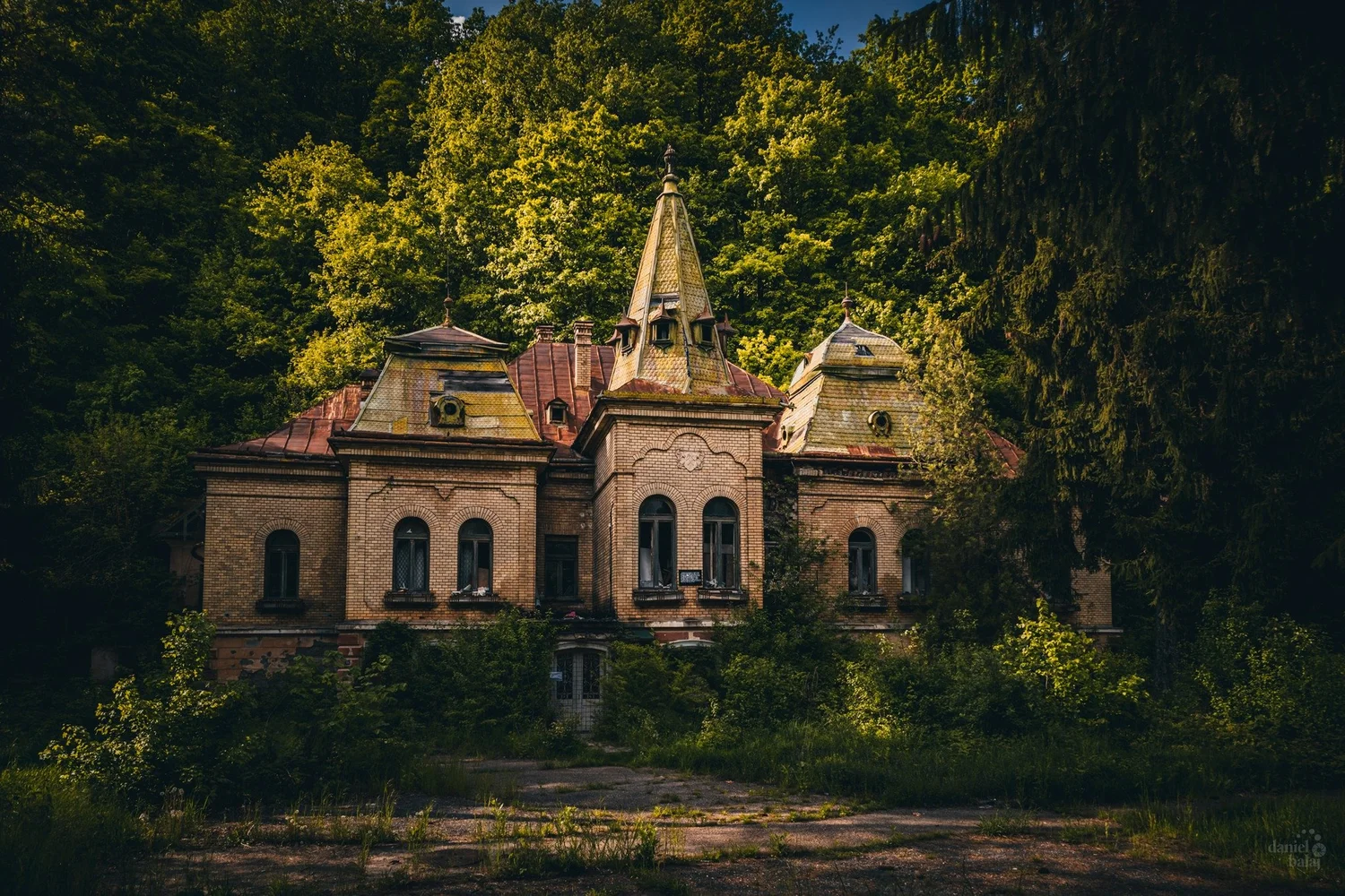Castelul Pocol Baia Mare Valea Borcutului și istoria unei clădiri emblematice pentru oraș.