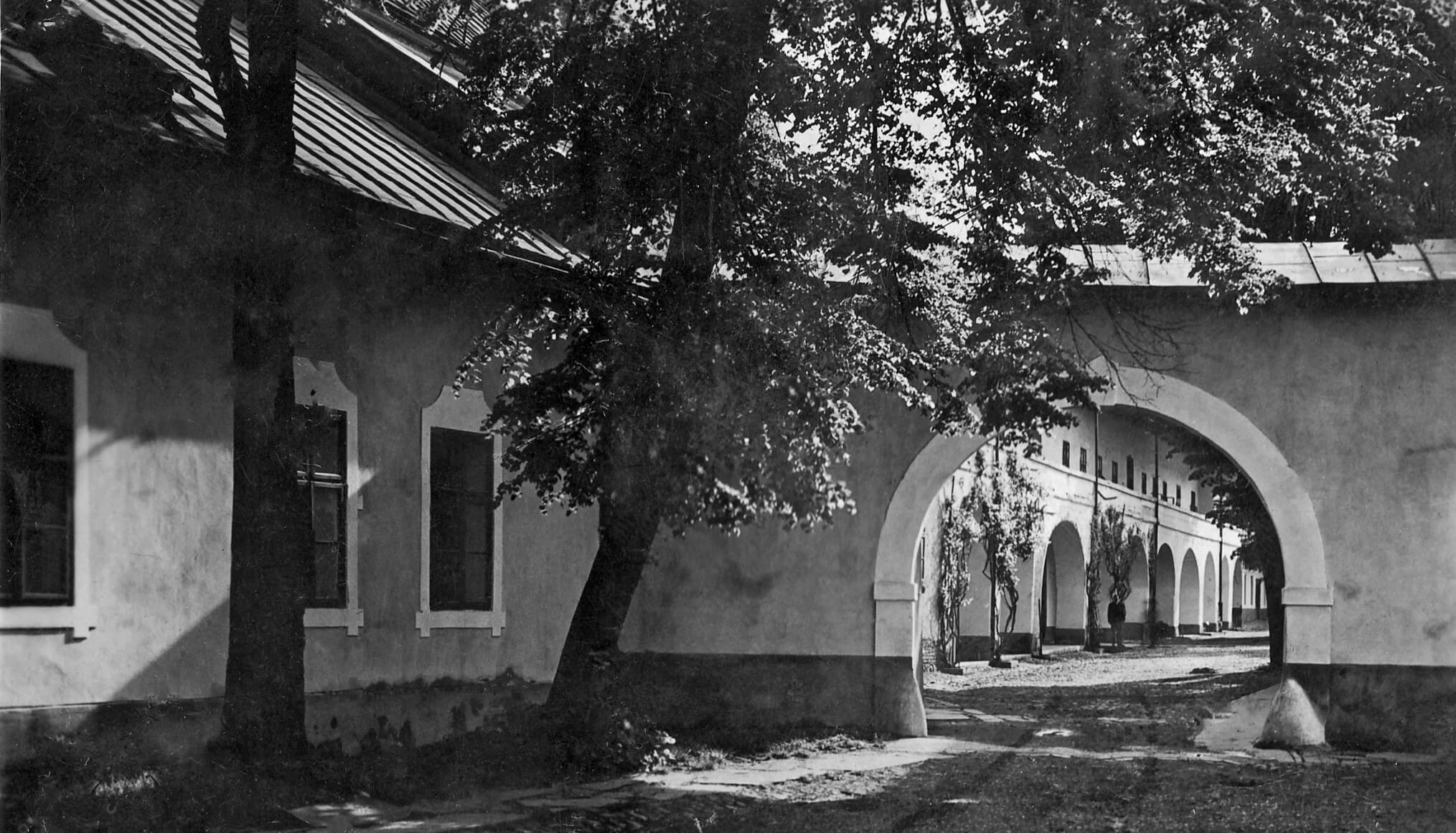 Monetăria din Baia Mare, un simbol al orașului, are o istorie încărcată de izul mineritului. Astăzi, clădirea găzduiește sediul Muzeului Județean de Istorie și Arheologie Maramureș.