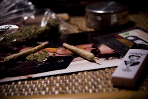 plante-etnobotanice-ordonanta-de-guvern-politia-maramures-investigarea-fraudelor