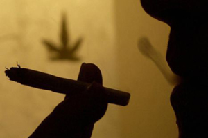 plante etnobotanice, droguri usoare, weed shop, comisie ancheta droguri