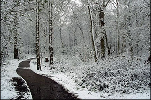 vremea maramures prognoza meteo ninsori ploi week-end
