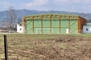 sala sport viseu de sus vasile coman varzaru conrep adi filip psd