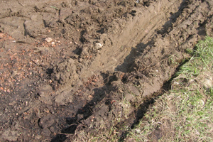 santuri stadion viseu de sus circ