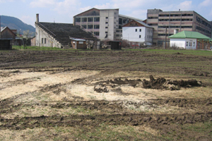 viseu de sus stadion distrus noroi manej