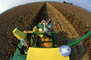 agricultura ingrasaminte utilaj agricol