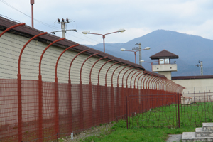 penitenciarul baia mare