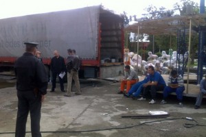 ciocane ilegale campul tineretului 5