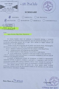 scrisoare de intentie navymar sga maramures