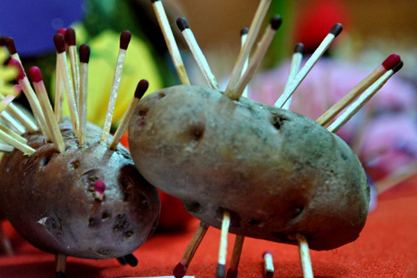 carnavalul toamnei la gradinita 28 baia mare 25