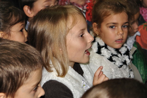 carnavalul toamnei la gradinita 28 baia mare 9