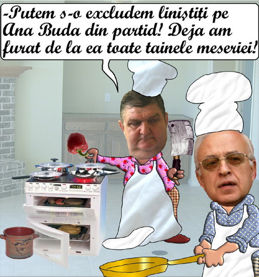 ioan hoban, radu sten, gatind in bucataria pnl - caricatura