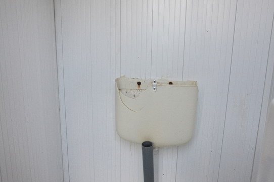 asa arata un vas toaleta eco