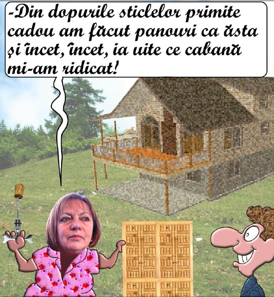 casa rodica pandi director urbanism primaria baia mare