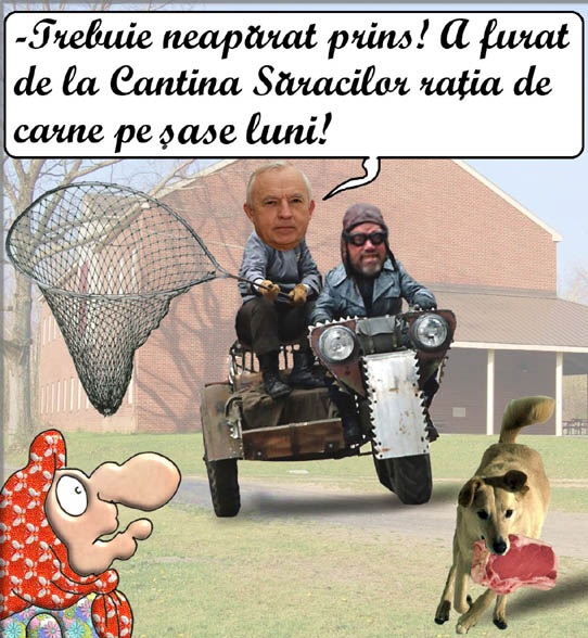 istvan ludescher, in recuperarea pierderilor de la cantina sociala