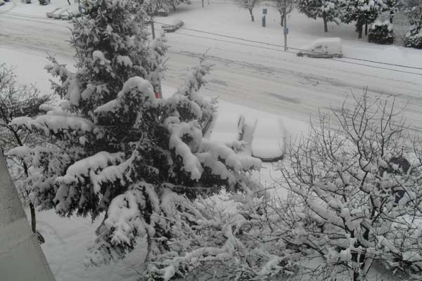 <SAMSUNG DIGITAL CAMERA>