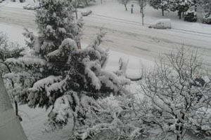 iarna-baia-mare-profil