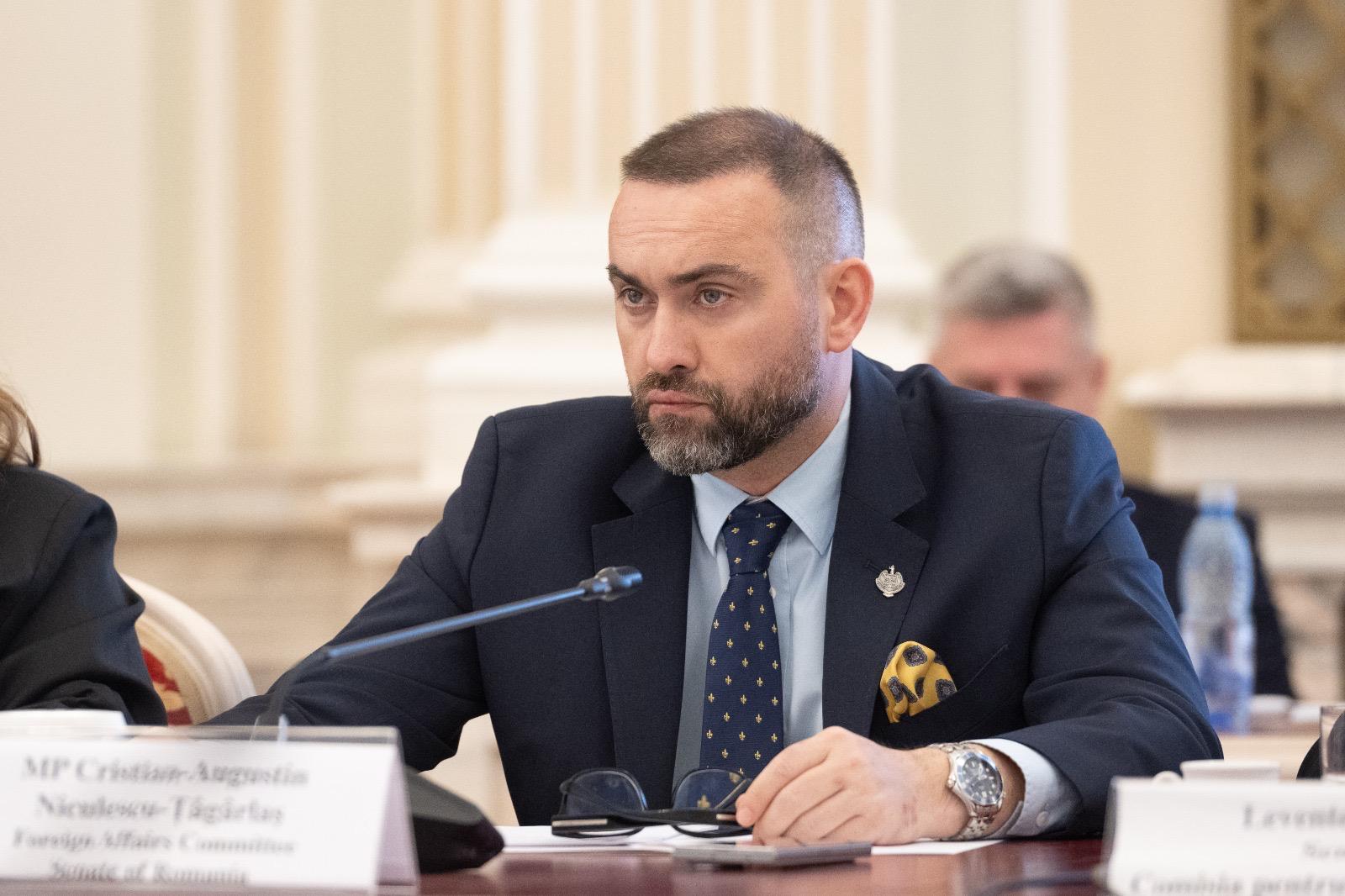 senator PNL Maramureș Cristian Niculescu-Țâgârlaș în Parlamentul României